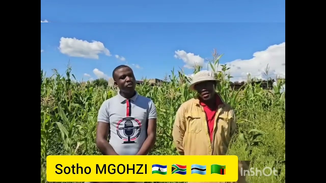 BANNA BA TSOARELOA BOSHOLU BA PAPA