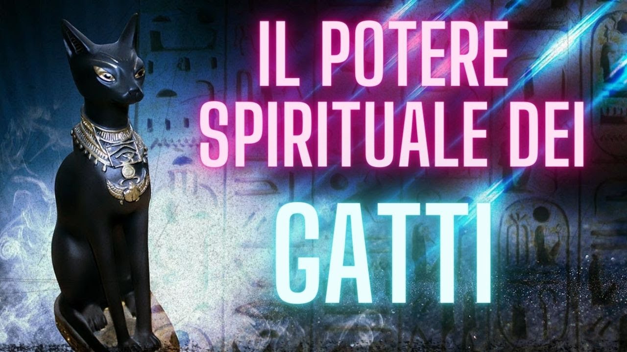 Il potere spirituale dei gatti