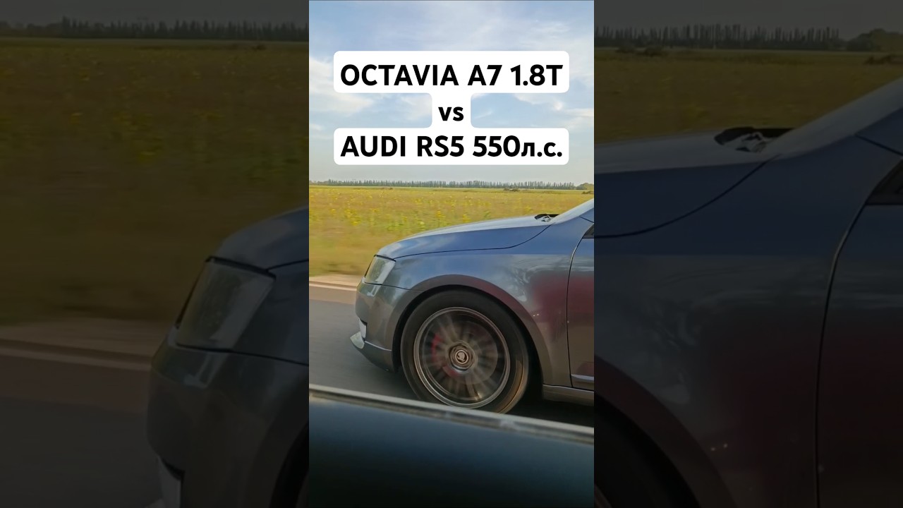 OCTAVIA A7 1.8T 450л.с. vs AUDI RS5 2.9T 550л.с. ГОНКА #автоврн #octaviaa7 #skoda #audi #audirs5