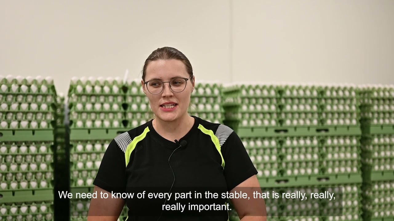 The Benefits of the Open Aviary System &ndash; Insights from Ida Toivonen 🐔🔍
