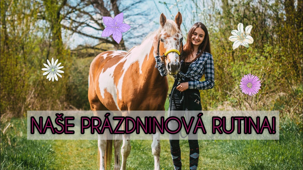 NĚCO JAKO PRÁZDNINOVÁ “RUTINA” U KONÍ ☀️❤️ || N&F SOULMATES