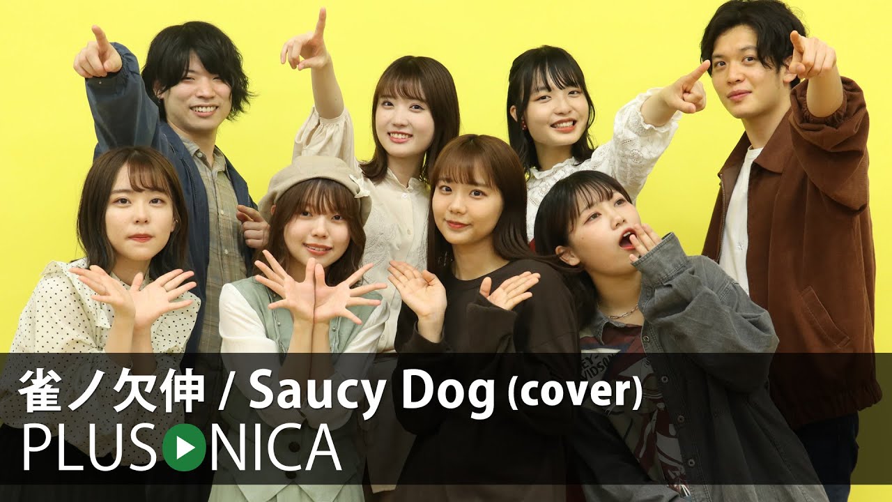 雀ノ欠伸 / Saucy Dog (cover)