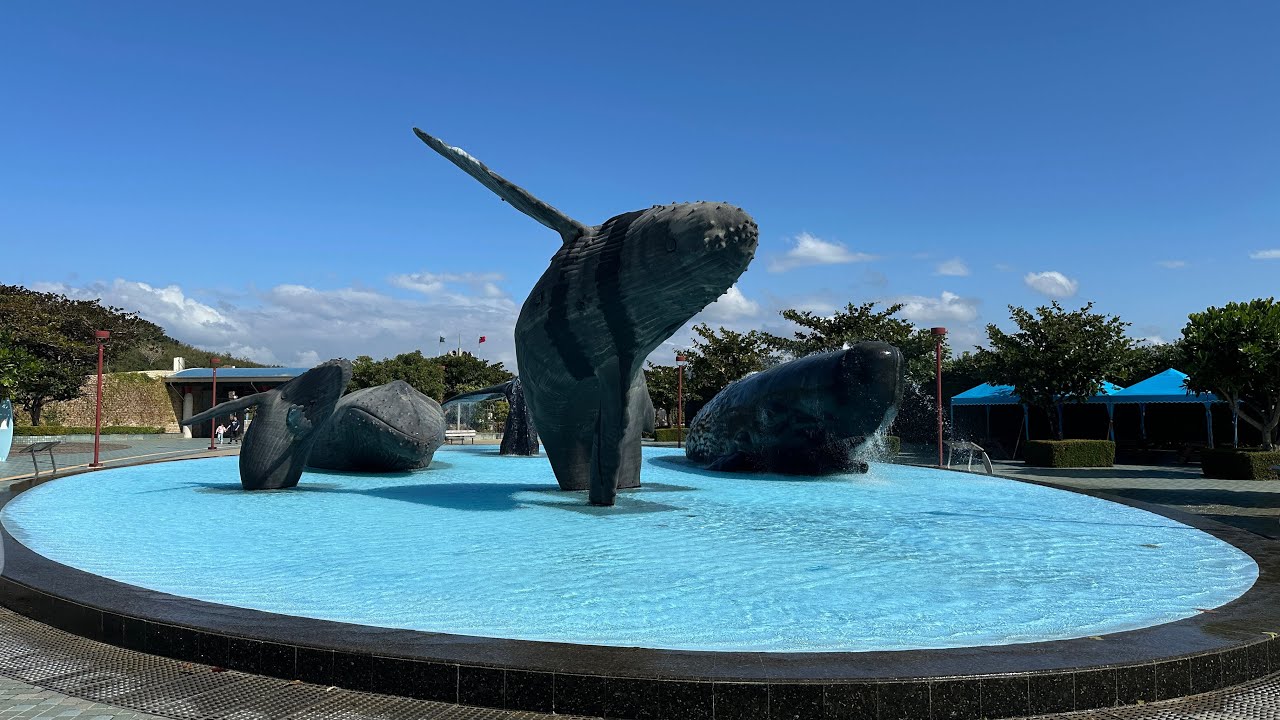 🇹🇼Taiwan Pingtung National Museum of Marine Biology and Aquarium 台灣屏東海生館 我看過最厲害的海底隧道之一 小白鯨跟我打招呼