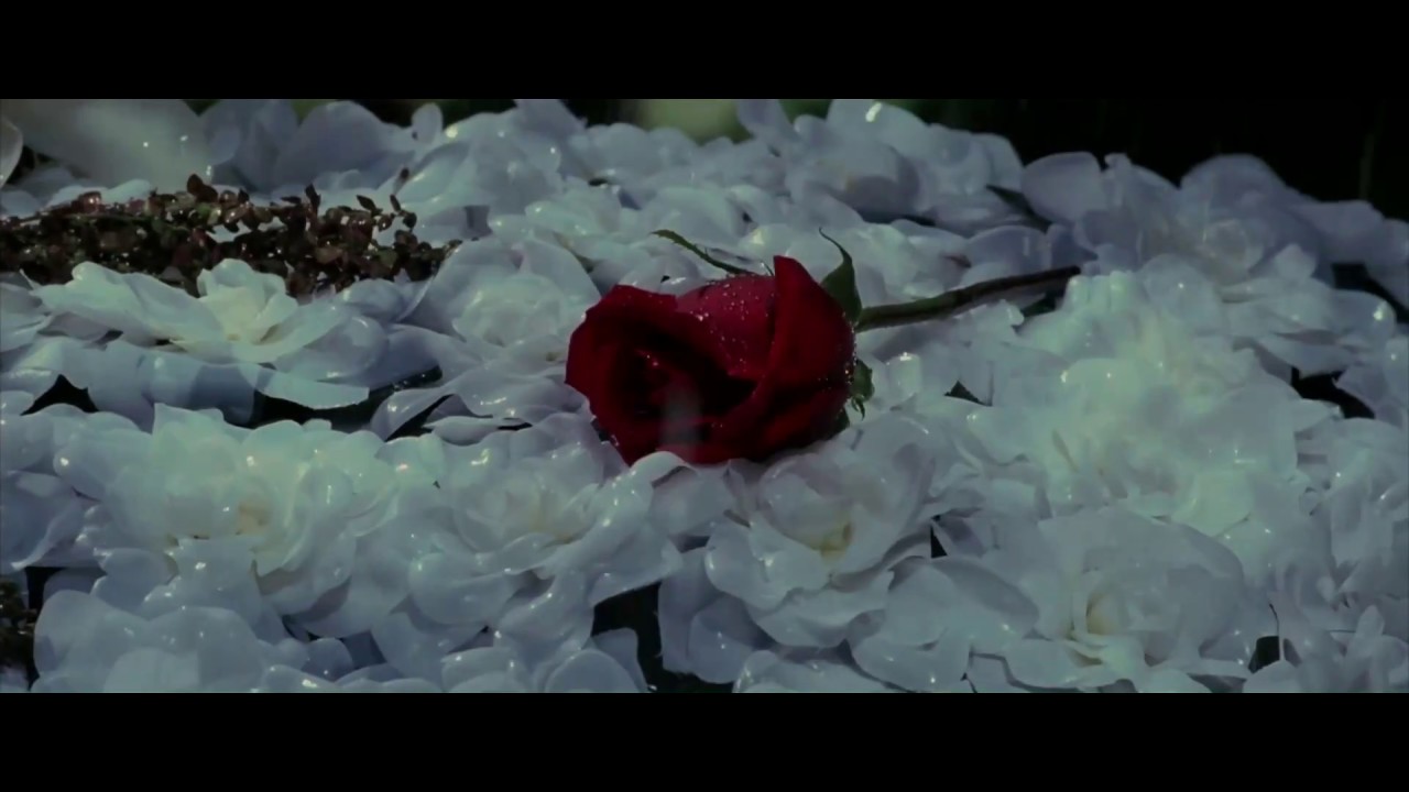 Daredevil | Evanescence - Bring Me to Life