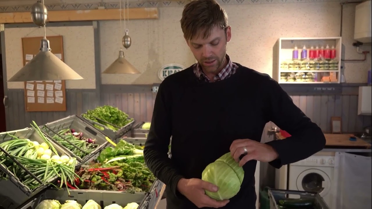 Varför ska du välja ekologisk mat?