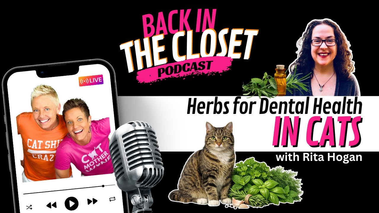 Herbs For Dental Health with THE Rita Hogan! | Back In The Closet