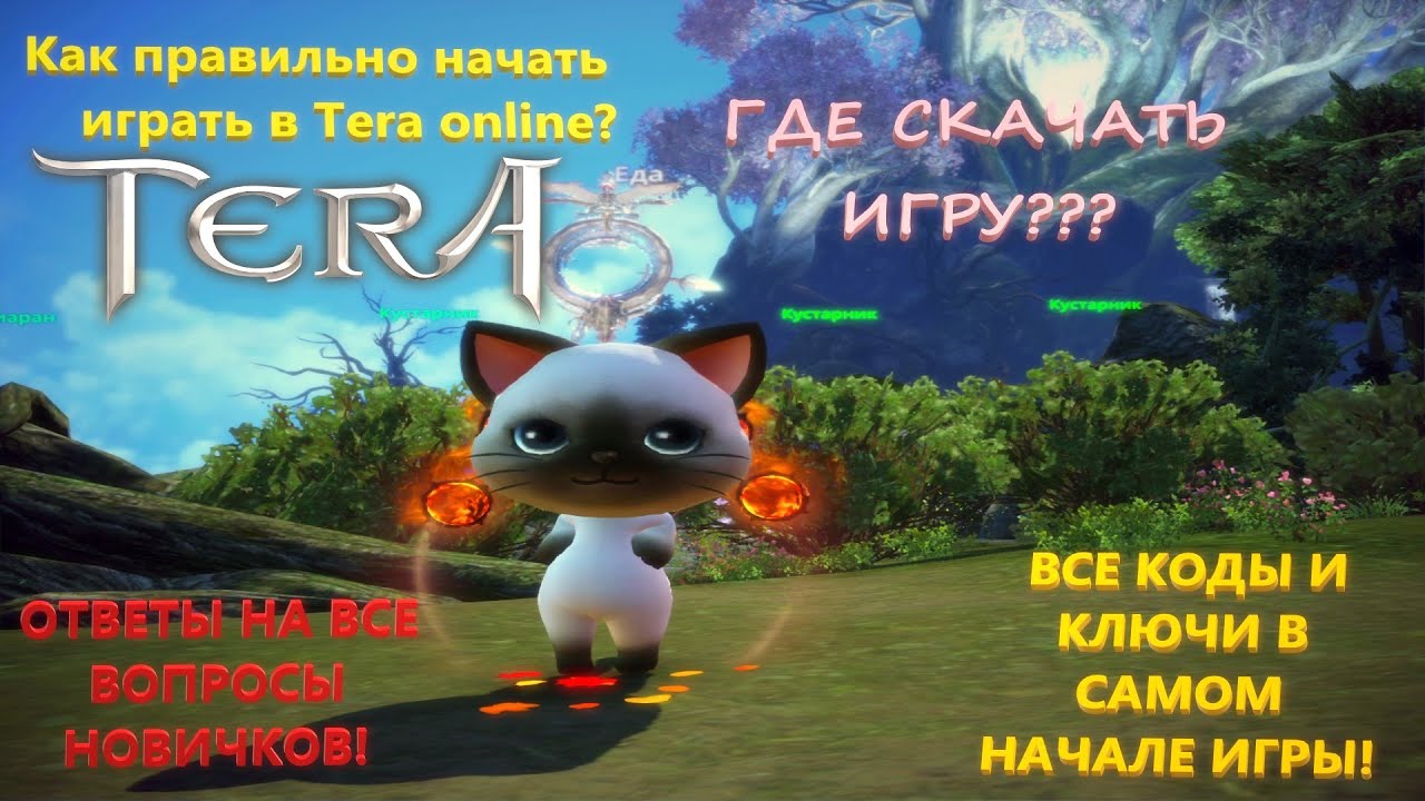 КАК ПРАВИЛЬНО НАЧАТЬ ИГРАТЬ В TERA ONLINE? ГАЙД! ВСЕ ПЛЮШКИ В САМОМ НАЧАЛЕ! ВСЕ КОДЫ И КЛЮЧИ!👍