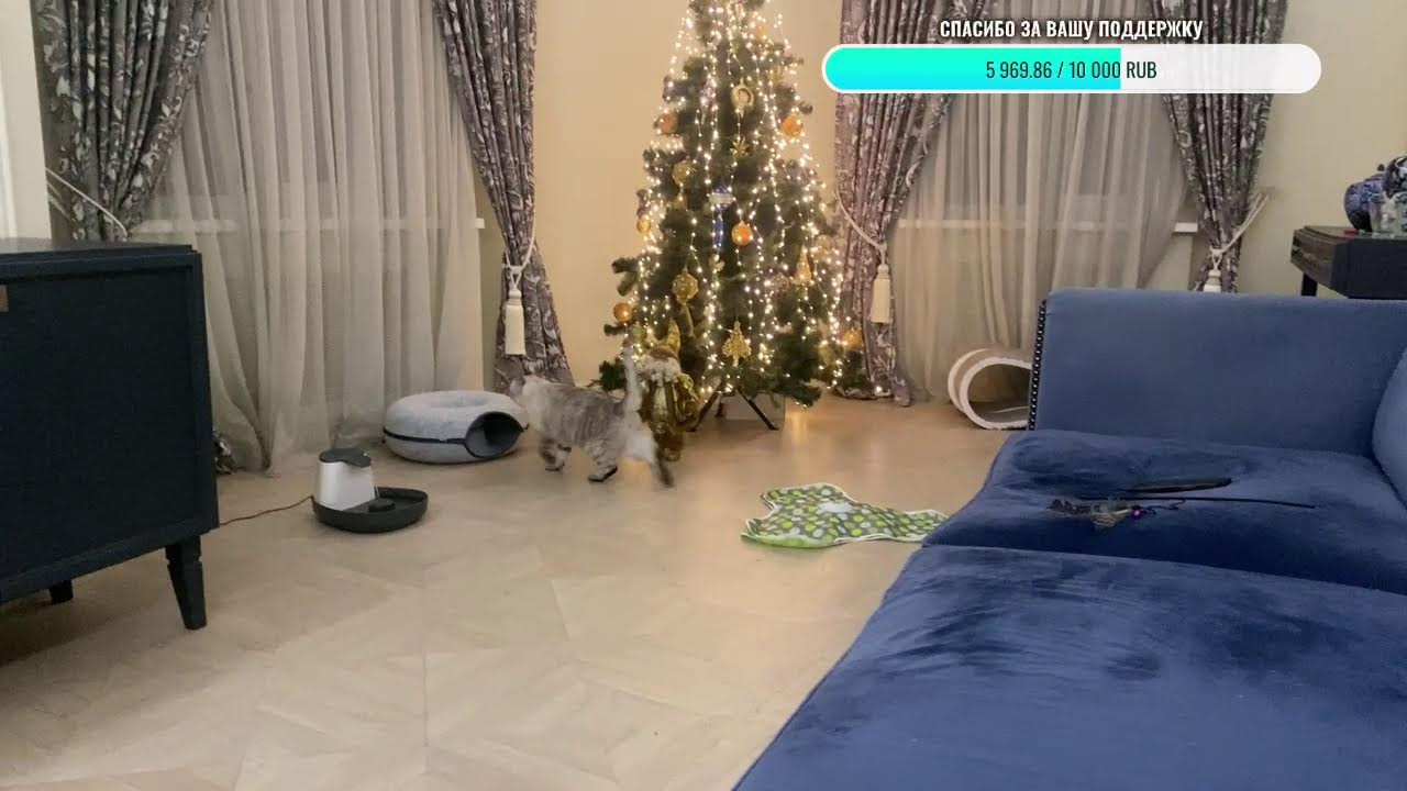 Добрый вечер