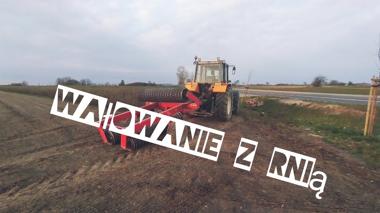 ✔️Jedyny taki zestaw w Polsce.●Wałowanie po grochu//Renault/Agro Kacper TV✔️