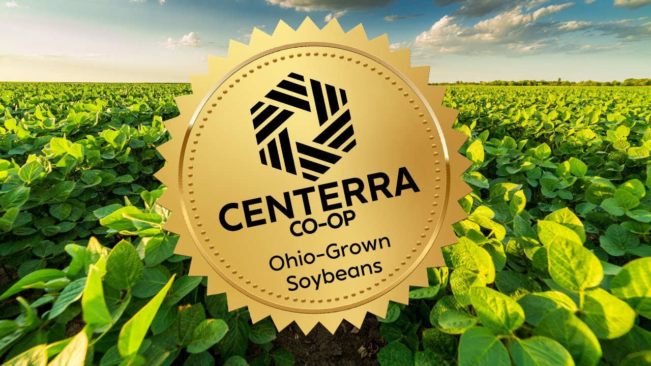 Centerra Co-op Grain Export Operation