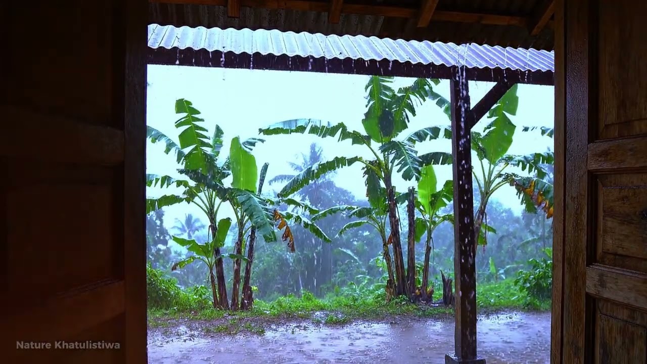 RURAL LIFE IN A TRADITIONAL COLD HIT BY A HEAVY RAIN STORM, A RELAXING RAIN DAY