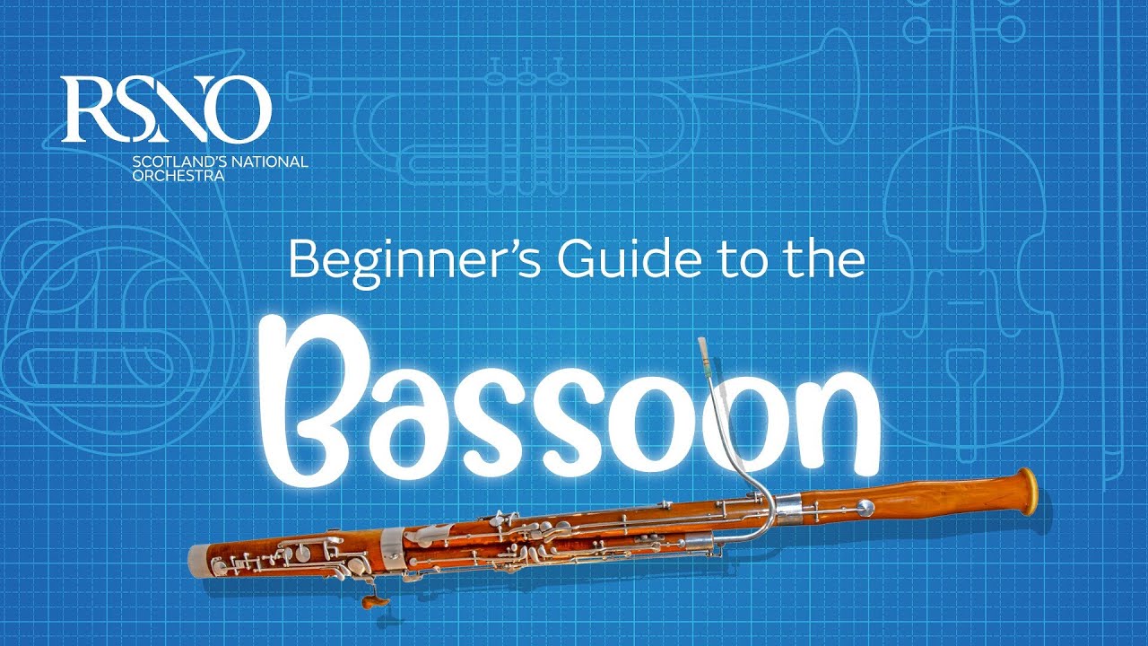 How To Play The Bassoon: A RSNO Beginner's Guide