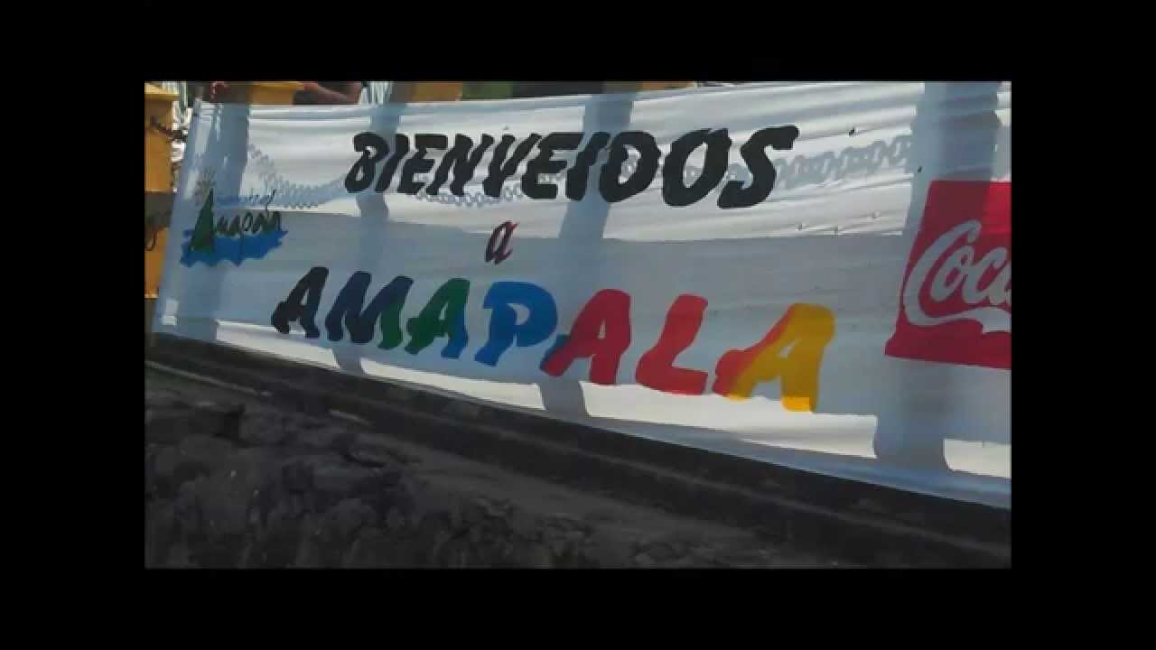 Torres & Su Combo - Tiburon Pequeño