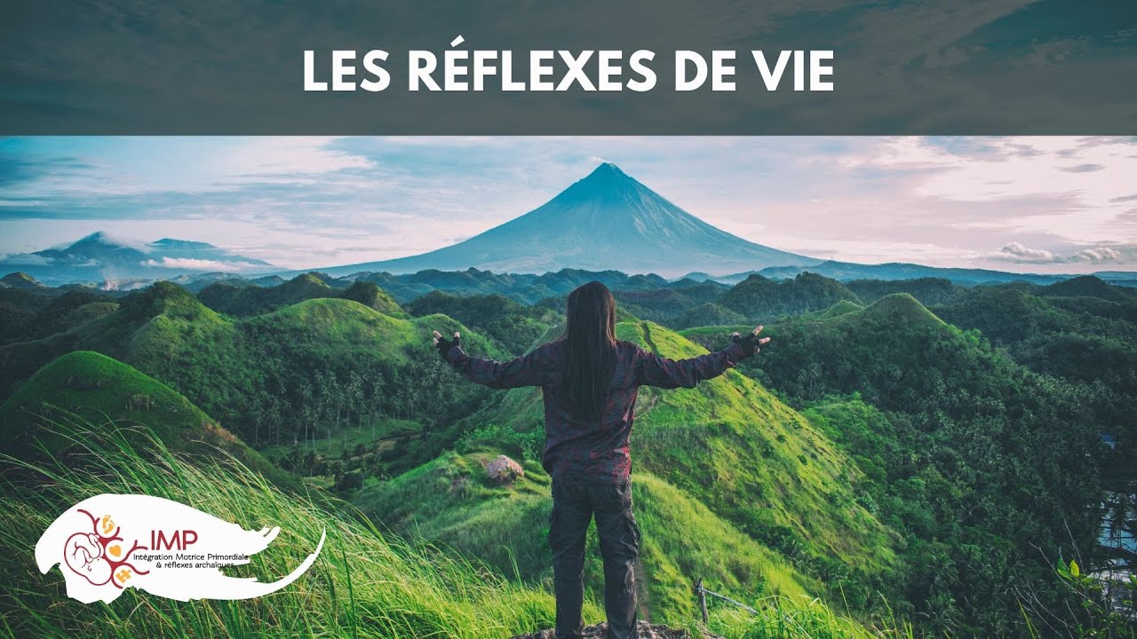 Les réflexes de vie - Intégration Motrice Primordiale (IMP)