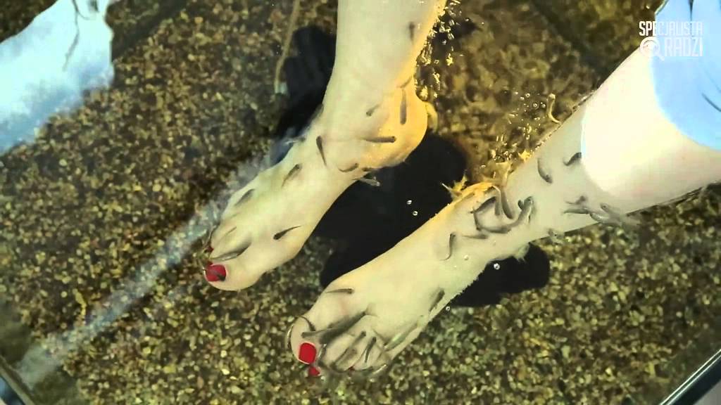 FISH PEDICURE  Naturalna metoda pielęgnacji st&oacute;p i dłoni