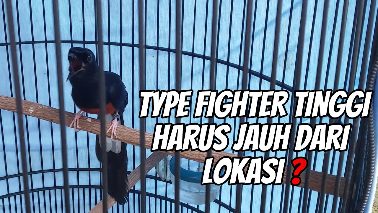 PEDOK JAUH UNTUK JAGA EMOSI DAN BIRAHI BIAR KONDISI TEMPURNYA TETAP AMAN !!