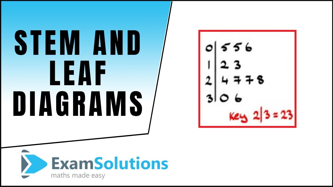 Диаграммы стебля и листьев | ExamSolutions