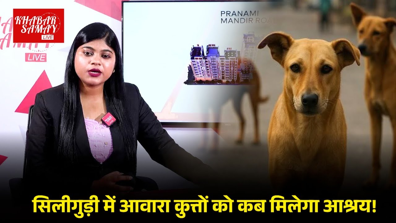 सिलीगुड़ी में Street Dogs को कब मिलेगा आश्रय!