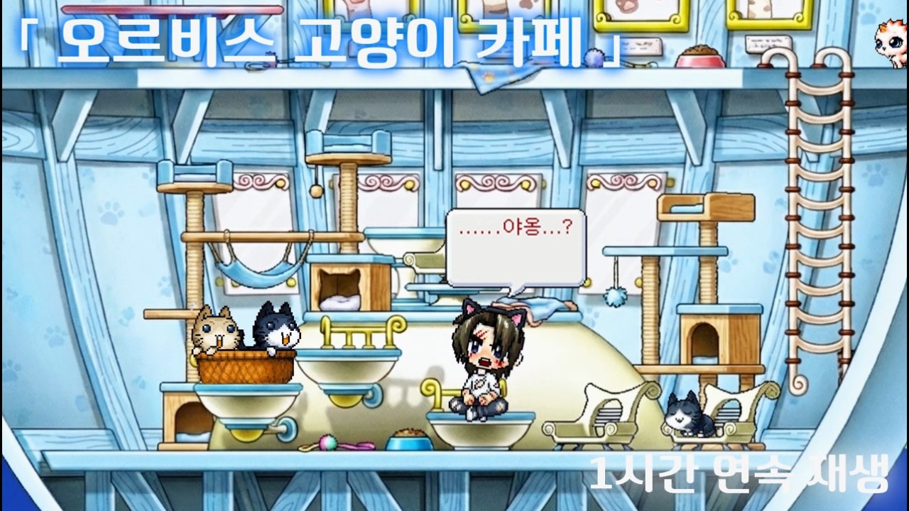 「 오르비스 고양이 카페 」 1시간 연속 재생