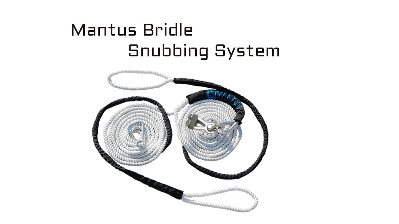 Bridle Snubber System