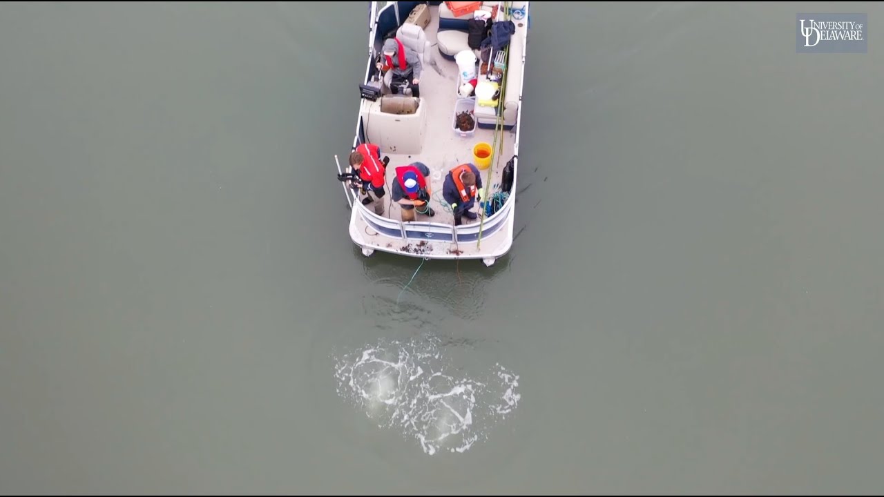 Crab Pot Quest—Pt. 3: Mastering Boat Operation and Removal Techniques
