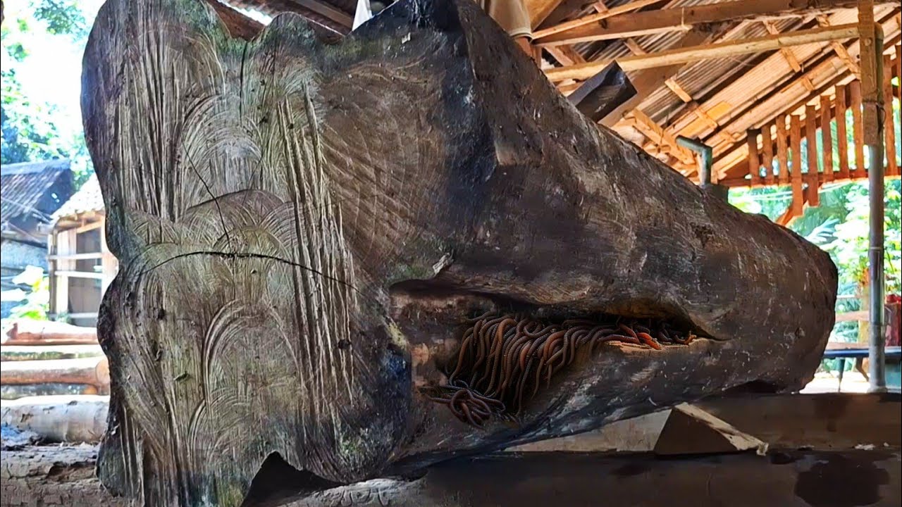 the amazing process of sawing black teak logs in a sawmill