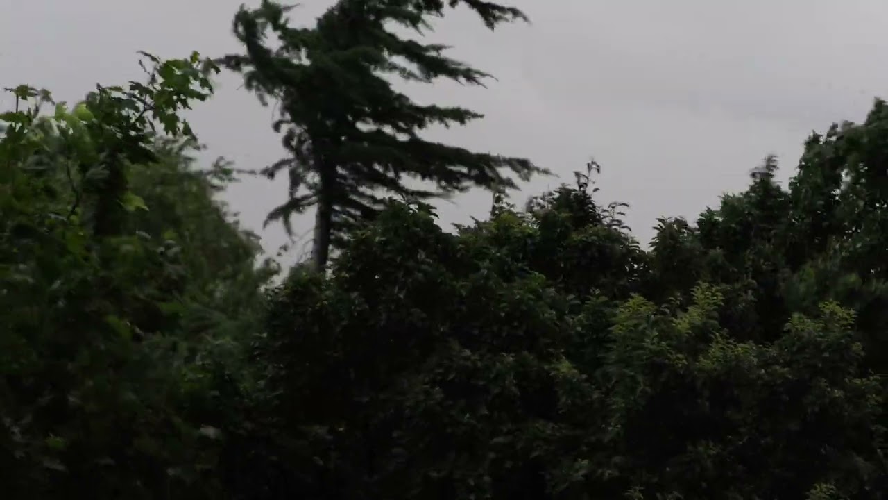 Darkness Darkness by Kieran Hebden