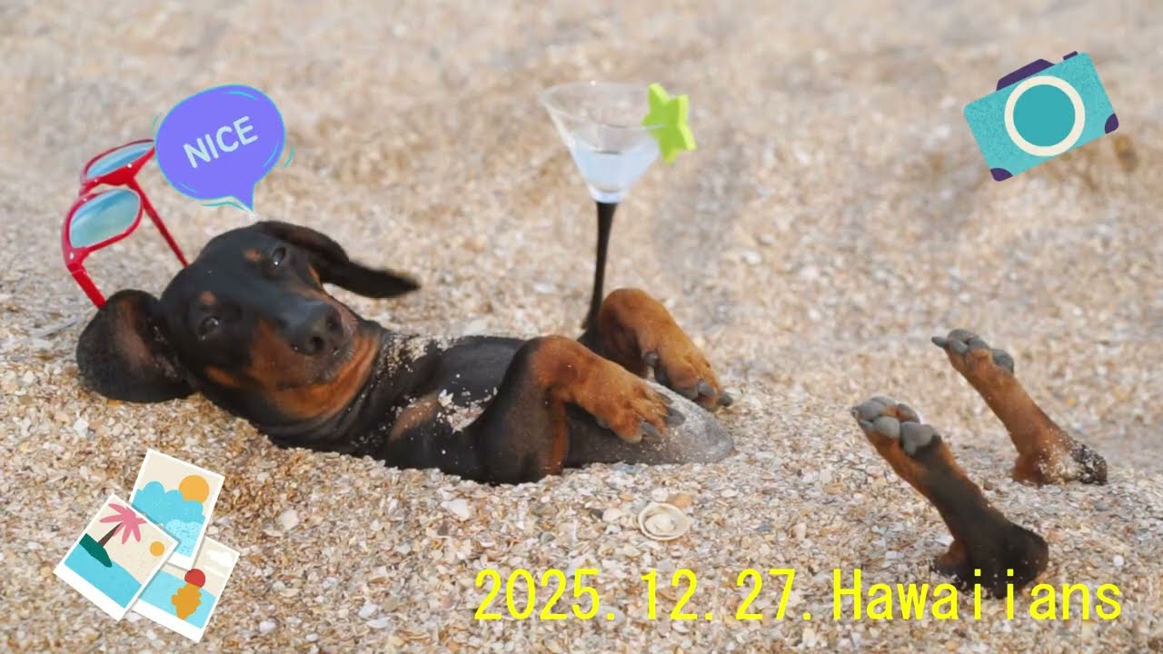 2025.12.27. Hawaiians