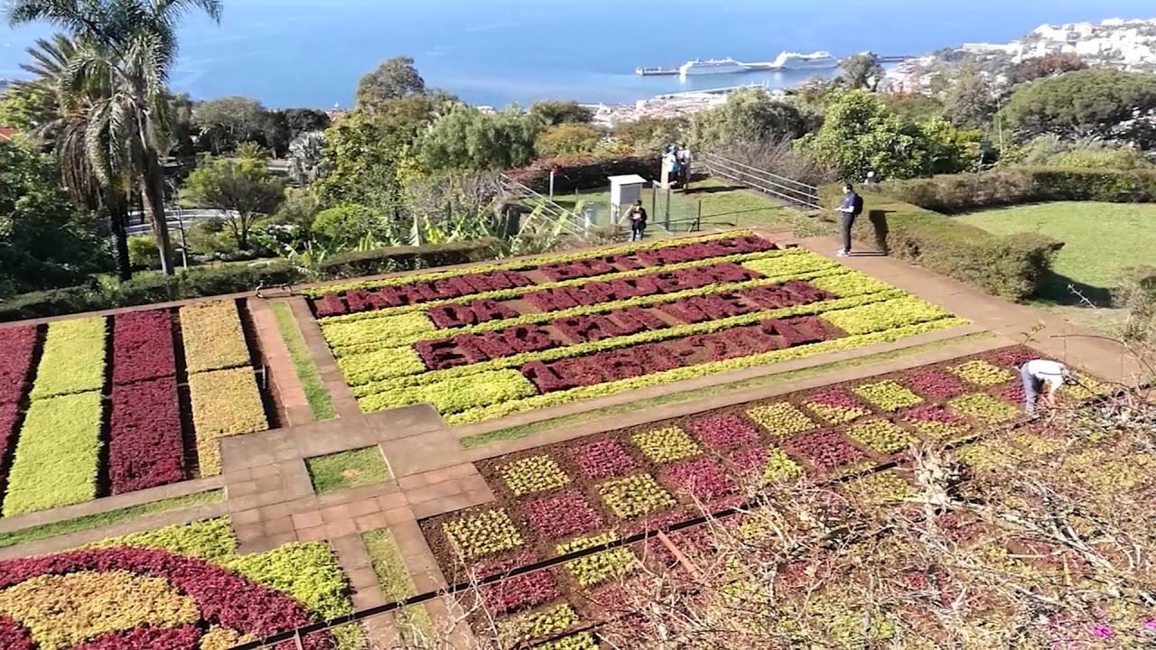 Madeira botanikus csod&aacute;ja