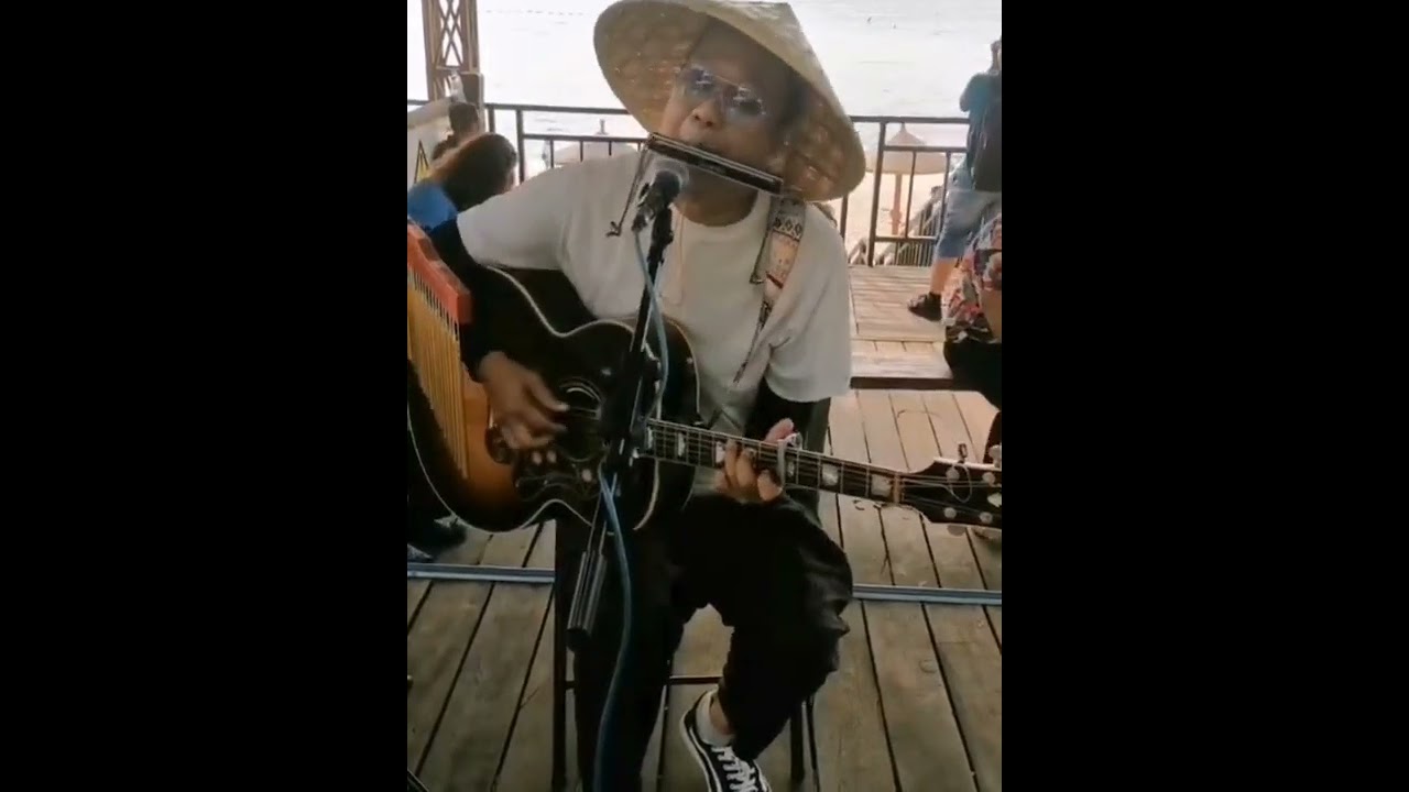 秋櫻  口琴吉他  ' 伊人依舊組合