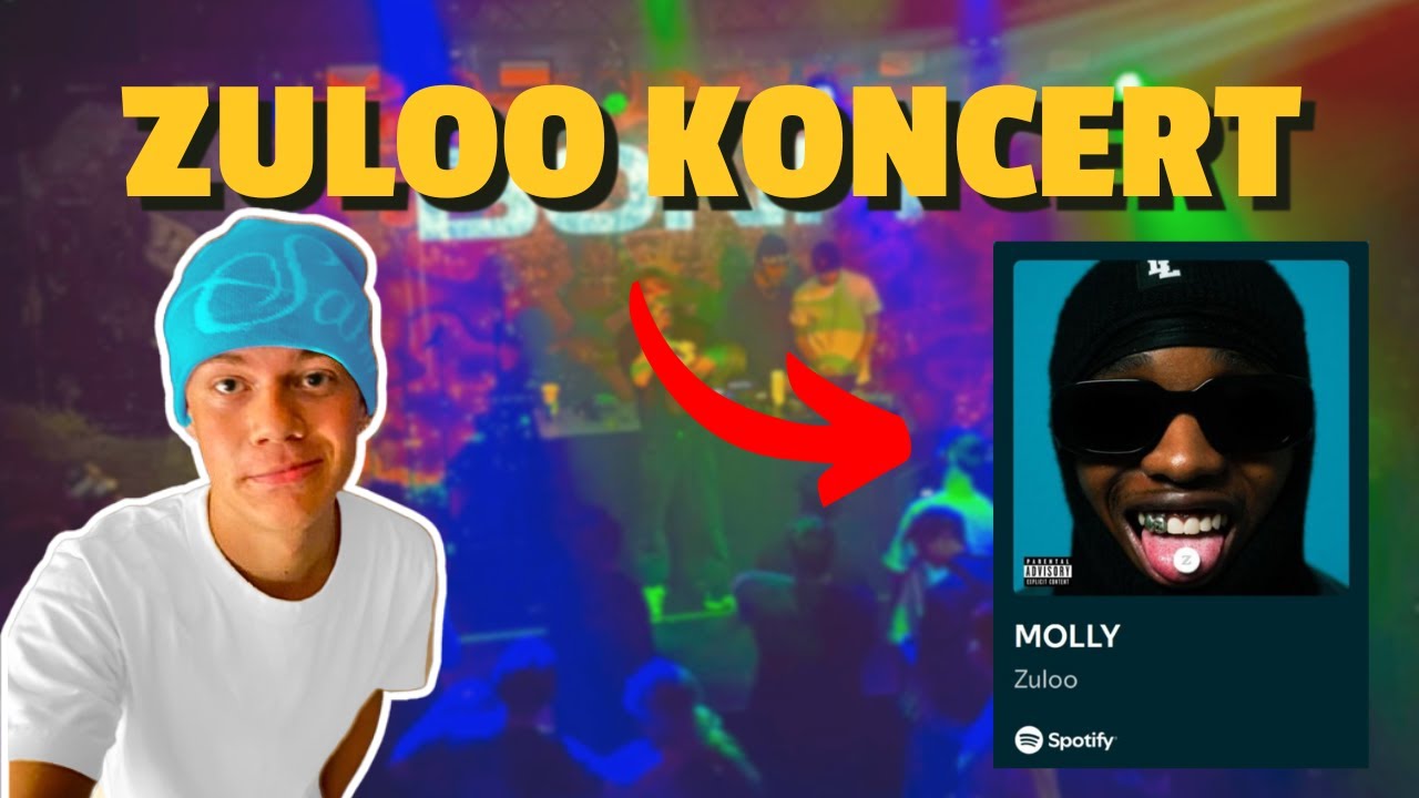 Jeg tog til koncert helt alene