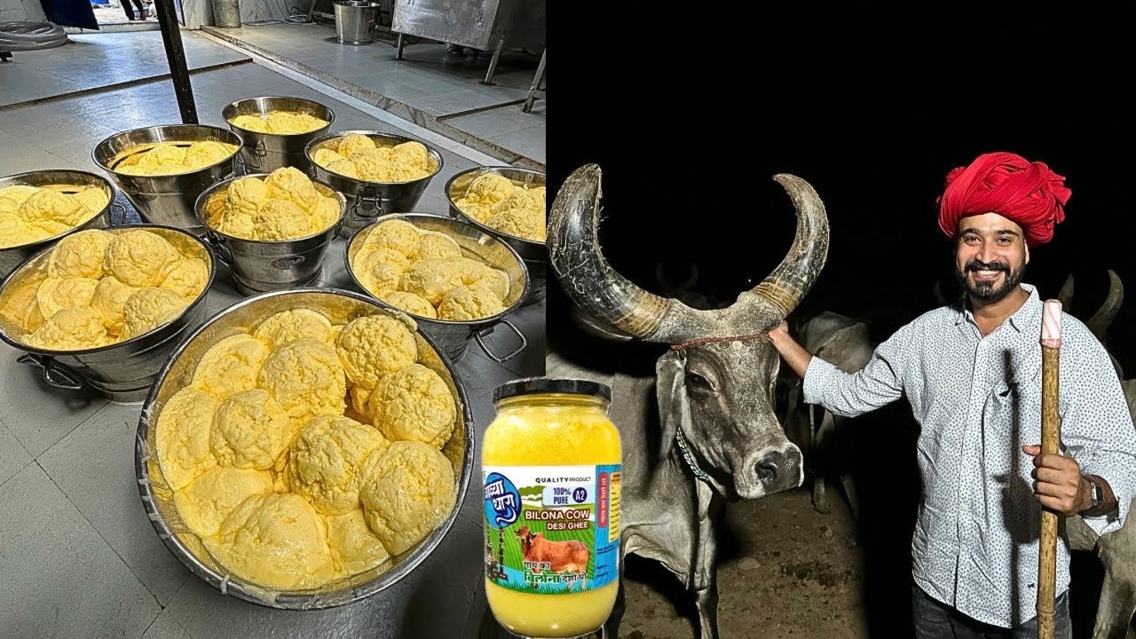 अब सबको मिलेगा शुद्ध देसी घी और माखन और नक़ली साबित करने पर 1 lakh का इनाम 🔥PRIYAL DAIRY JAIPUR