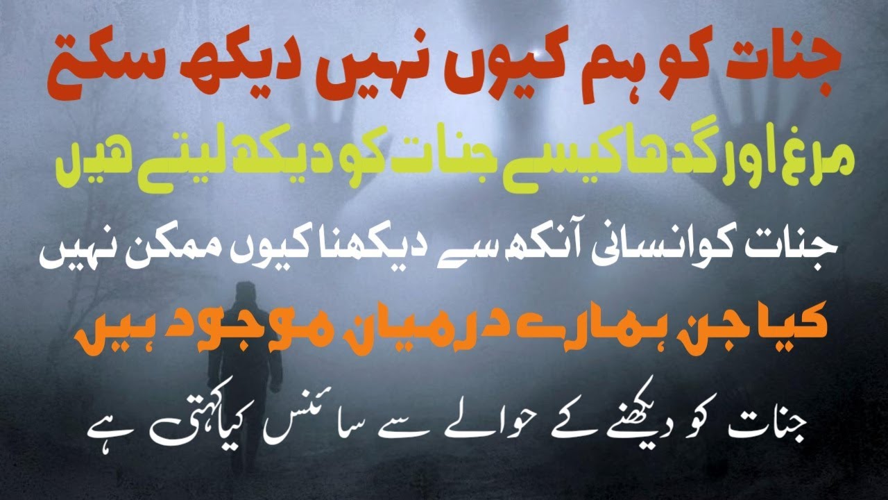 jinnat ko hum kyun nahi dekh sakte|murgh aur gadha kaisay jinnat ko dekh letay hain|#jinnat ki dunya