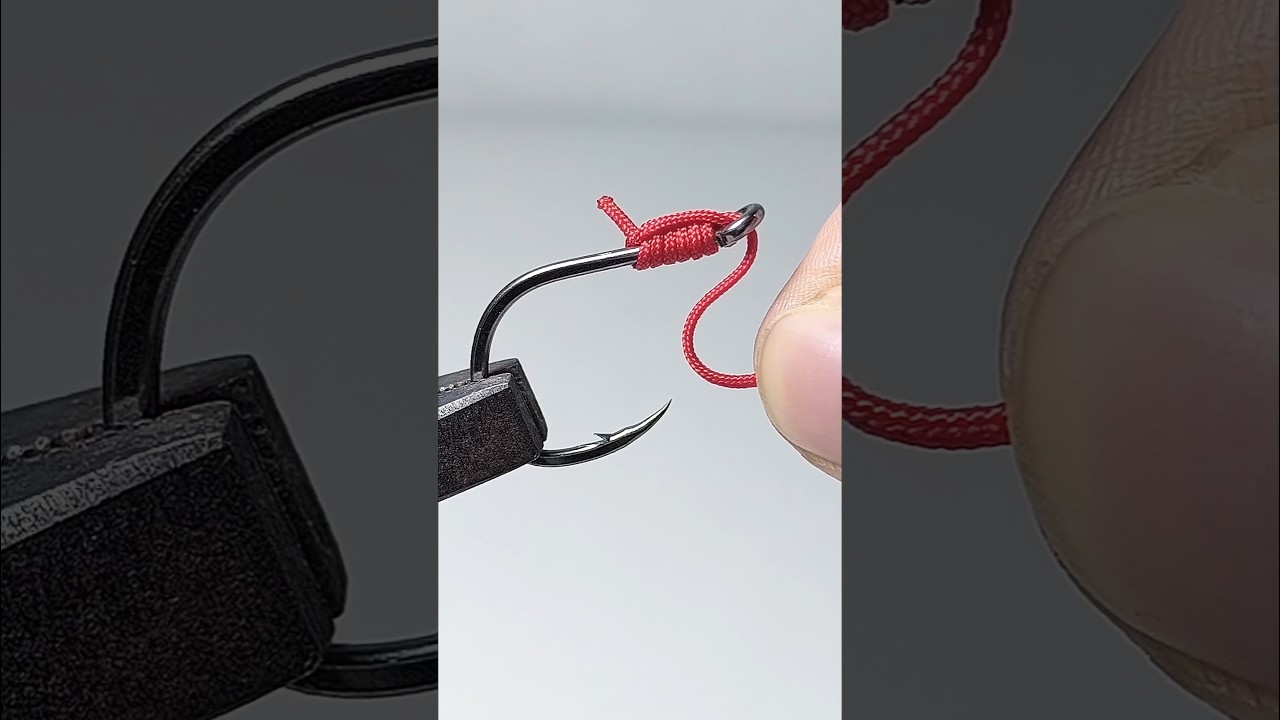 Genius fishing knot techniques styles 