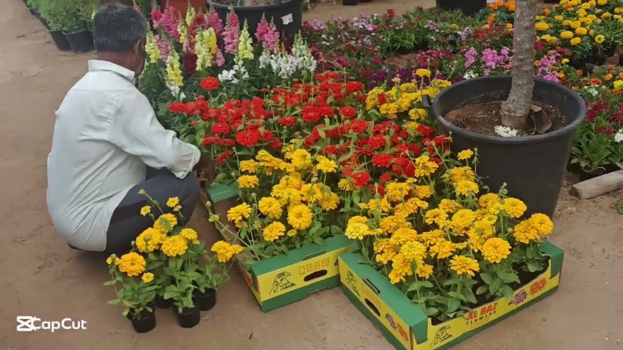 Tuition drop + Flower shopping + McDonald’s breakfast = Perfect Saturday formula 🥰🌸🌿