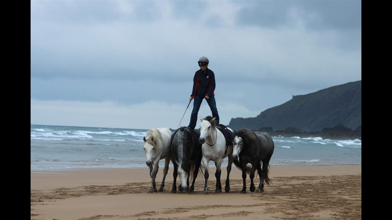 Connemara Liberty Team Training