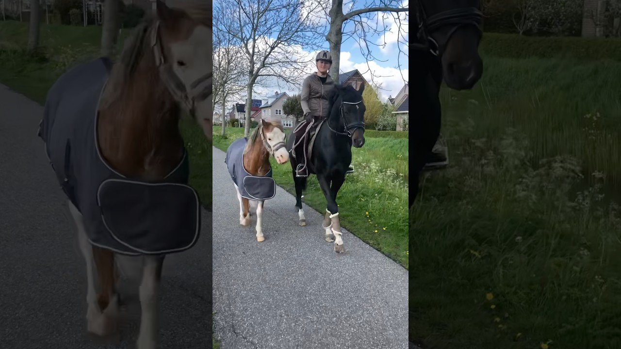 Double training 💕 Super Valentino & Super Bubbles 