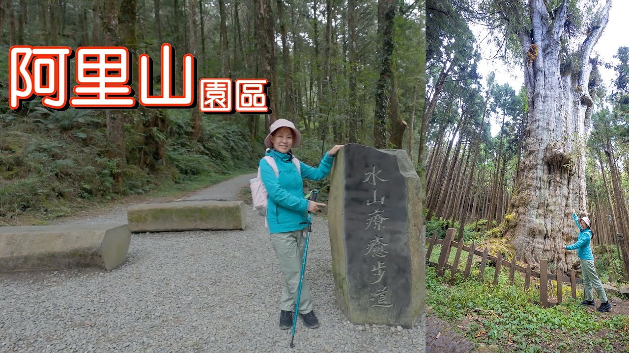 『水山療癒步道』連接『水山巨木步道』輕鬆步行一圈
