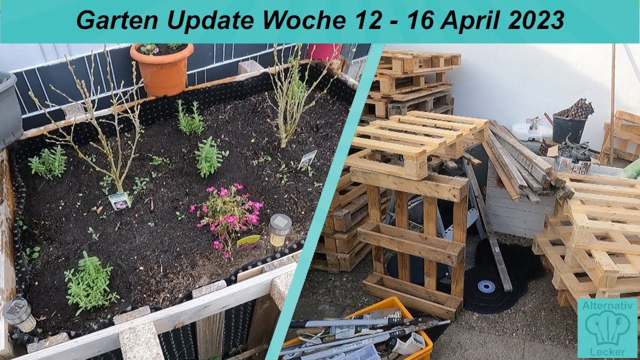 Die Terrasse ist wieder sauber und wir pflanzen Lavendel !!! | Garten- Update | April 2023