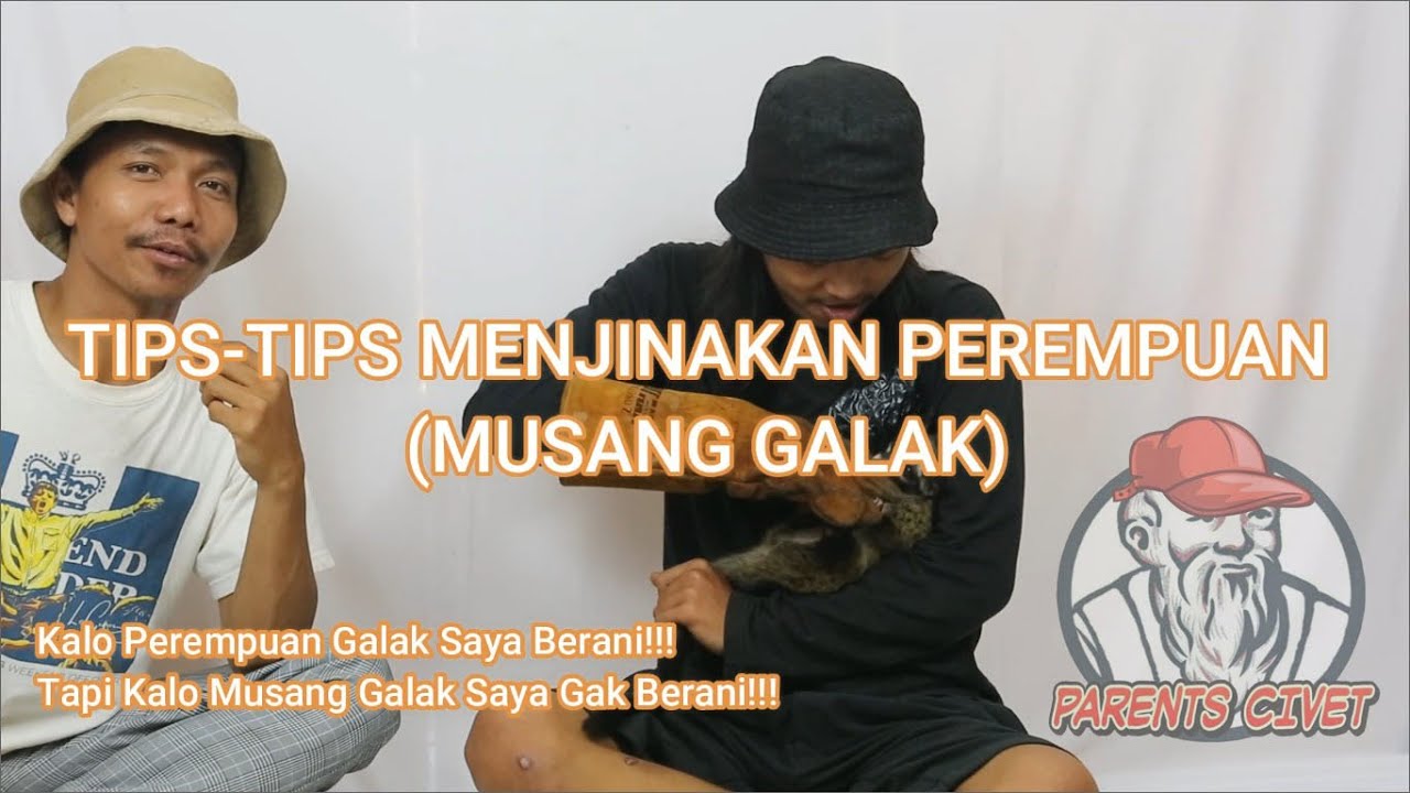 TIPS MENJINAKKAN MUSANG PANDAN GALAK ..