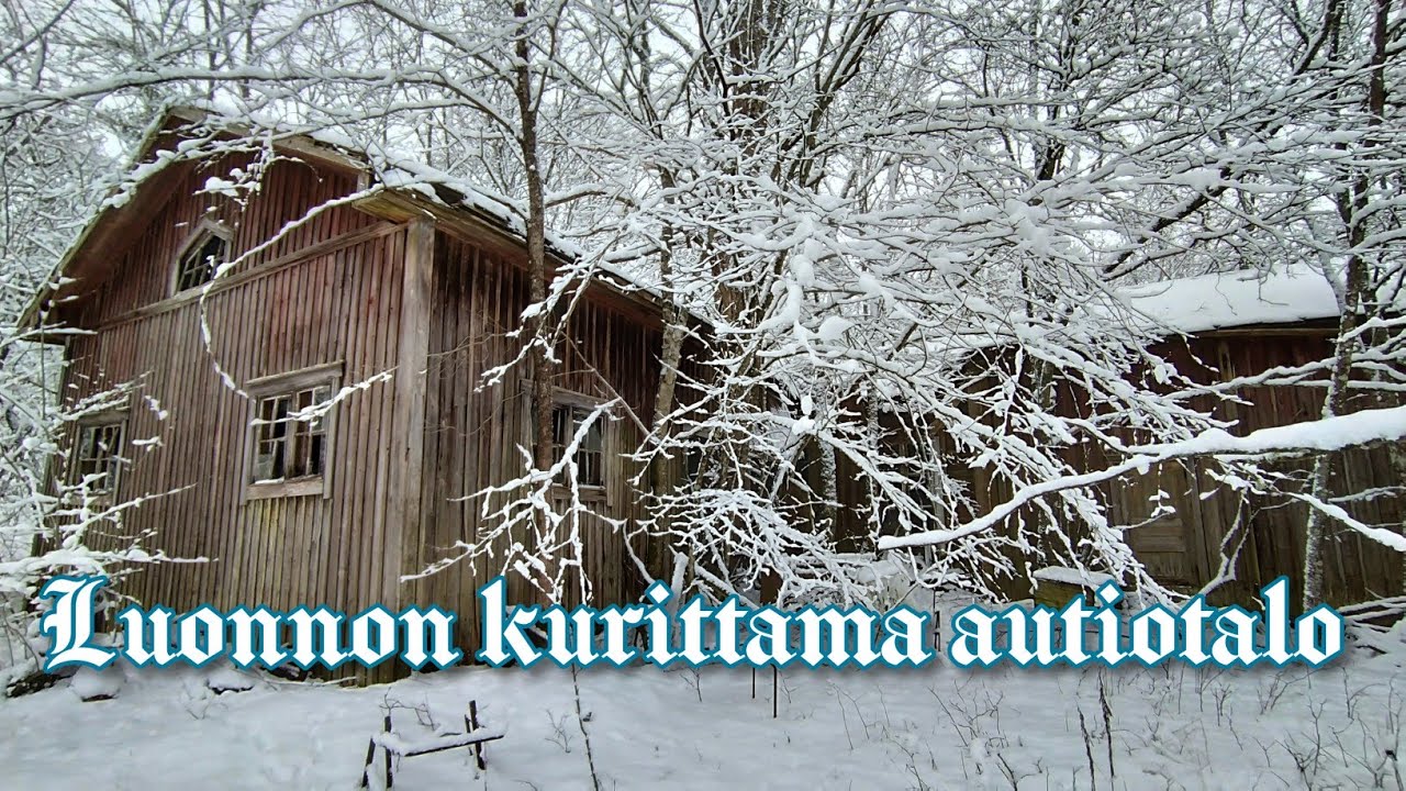 Luonnon kurittama autiotalo @hytonen79