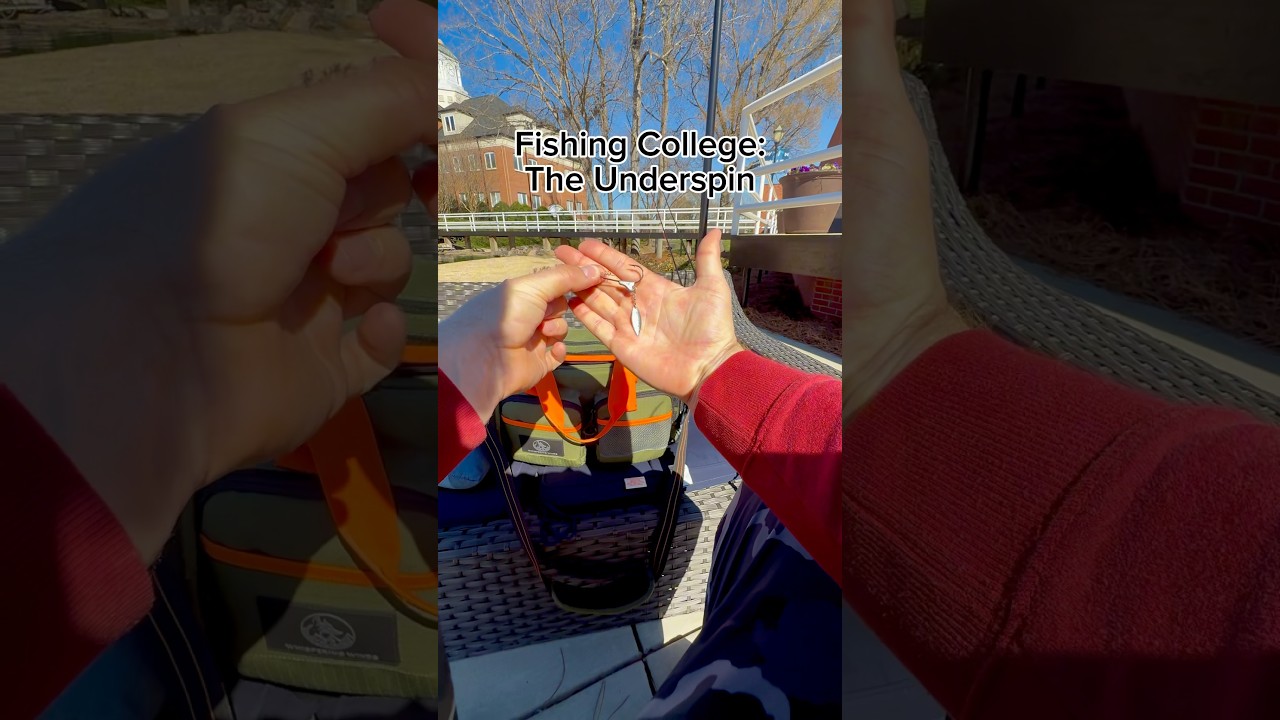 The underspin made easy for bass fishing 👀 #bassfishing