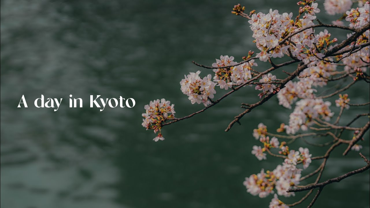 Life in Kyoto - Chasing Cherry Blossoms / Cinematic Photography Journey
