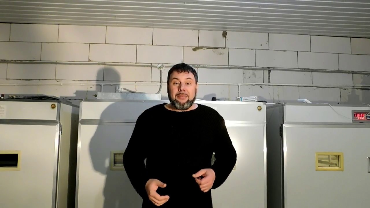 Обзор китайского инкубатора