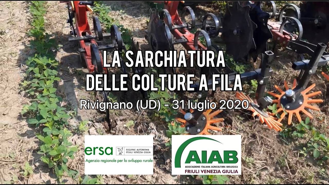 La sarchiatura delle colture a fila