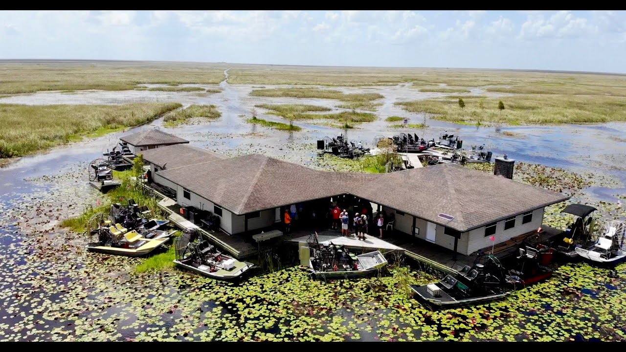 Airboat Ride Area 2  Everglades, Gators, and Turtles…8:6:22