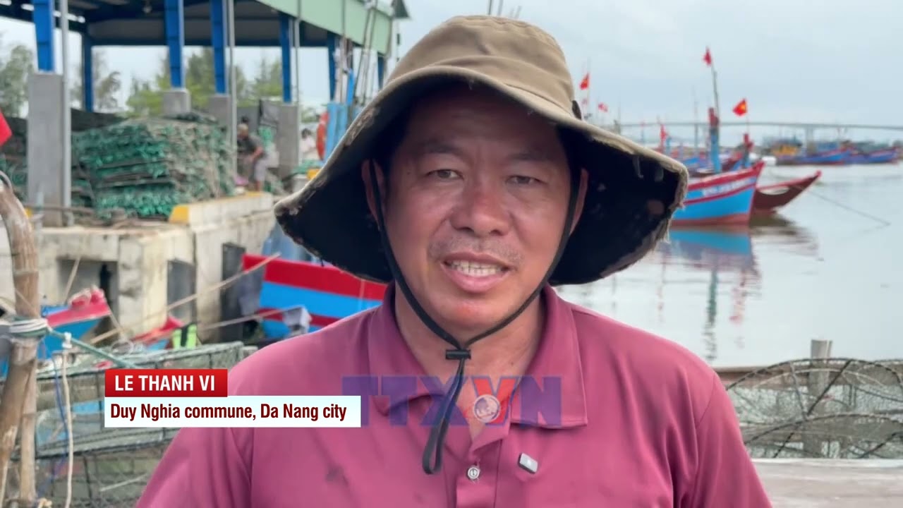 Da Nang restructures fishing fleet to protect coastal fisheries