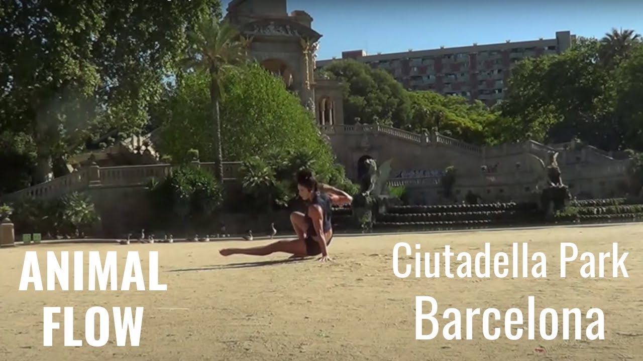 Animal Flow Level II - Capturing my Animal Flow Practice in Barcelona
