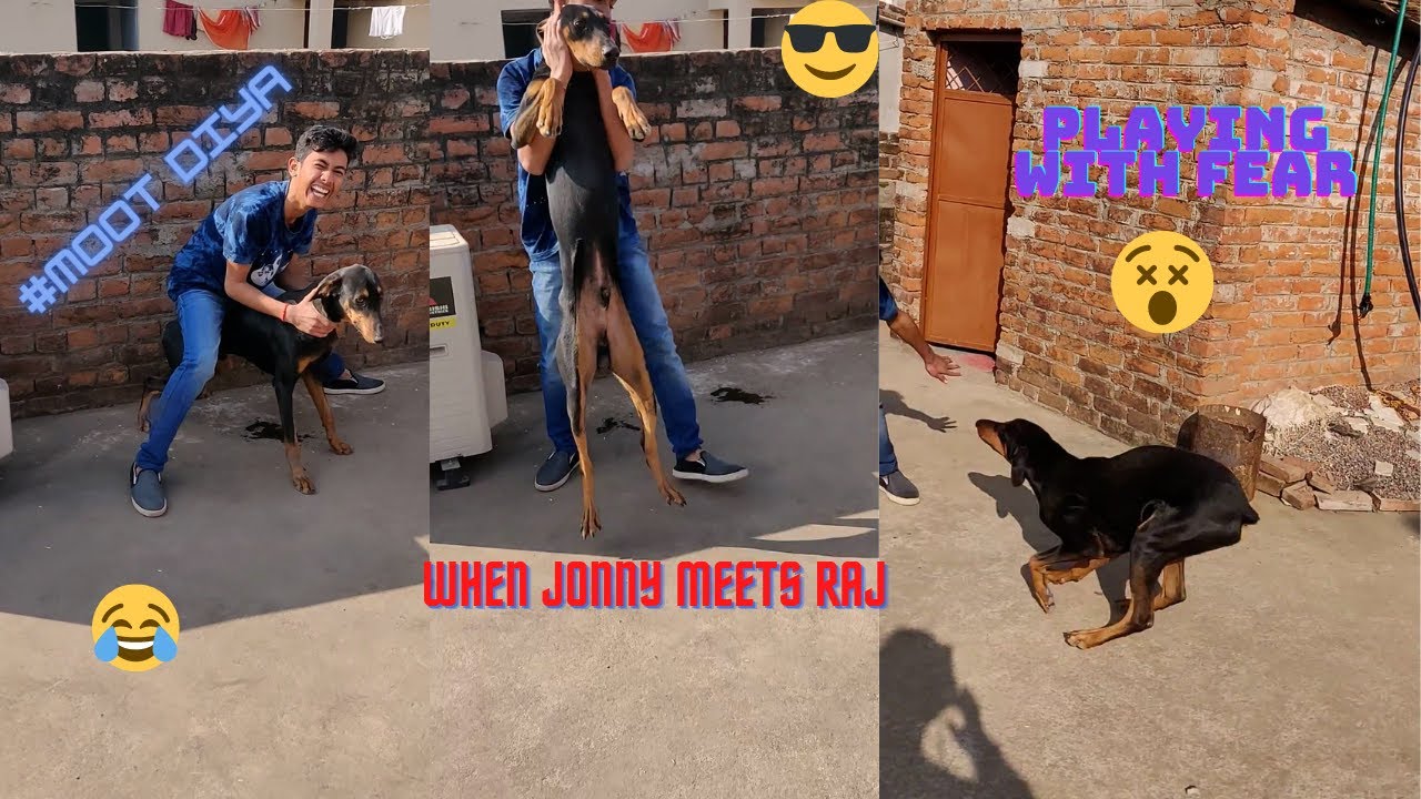 When Jonny meets Raj | Jonny funny