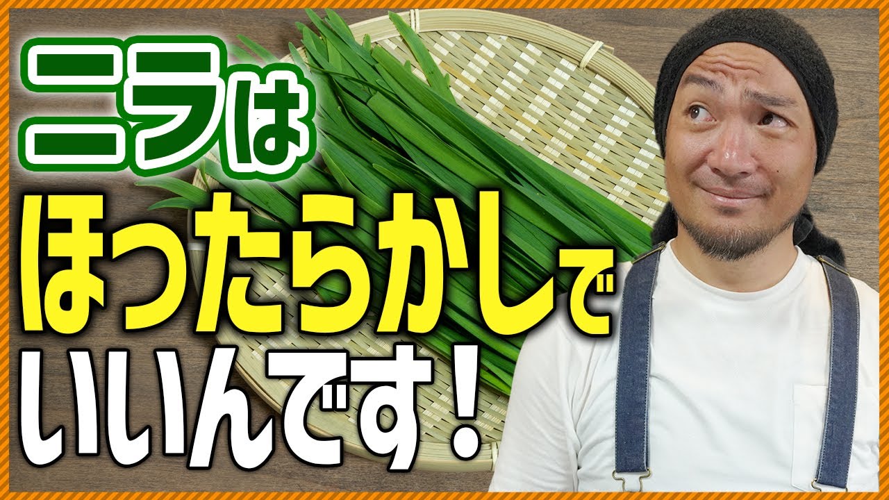 【コスパ最強】ニラ栽培の始め方｜プランター1個で年5回収穫！初心者でもできる